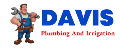 Trusted plumber in BETHANIA